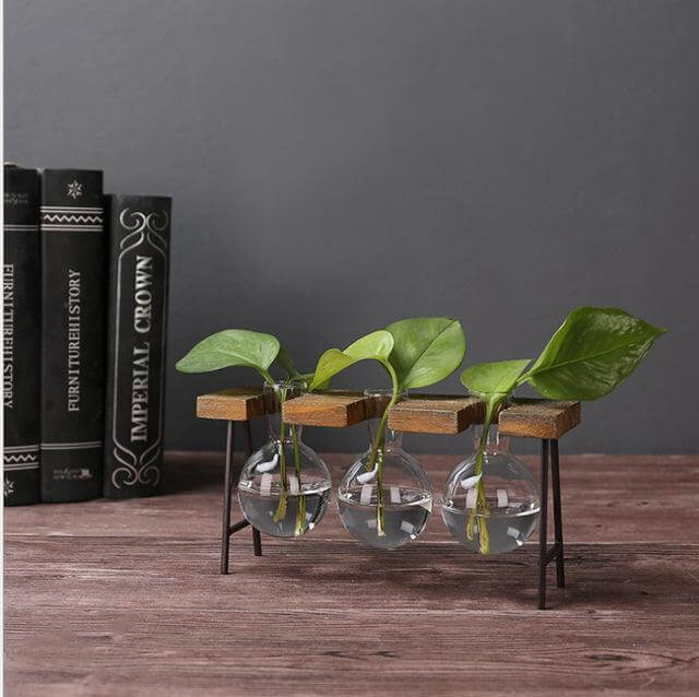 BowLift | Creative Home Decoration Hydroponic With Iron Feet Plant Vase