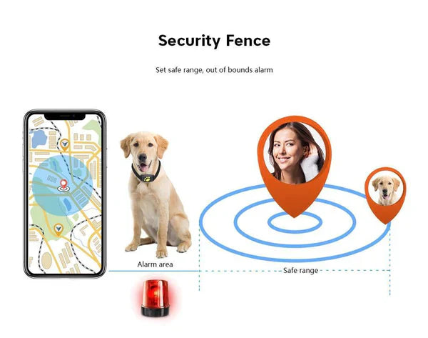 BowLift | Cat GPS Tracker for Pets Locator Device Microchip