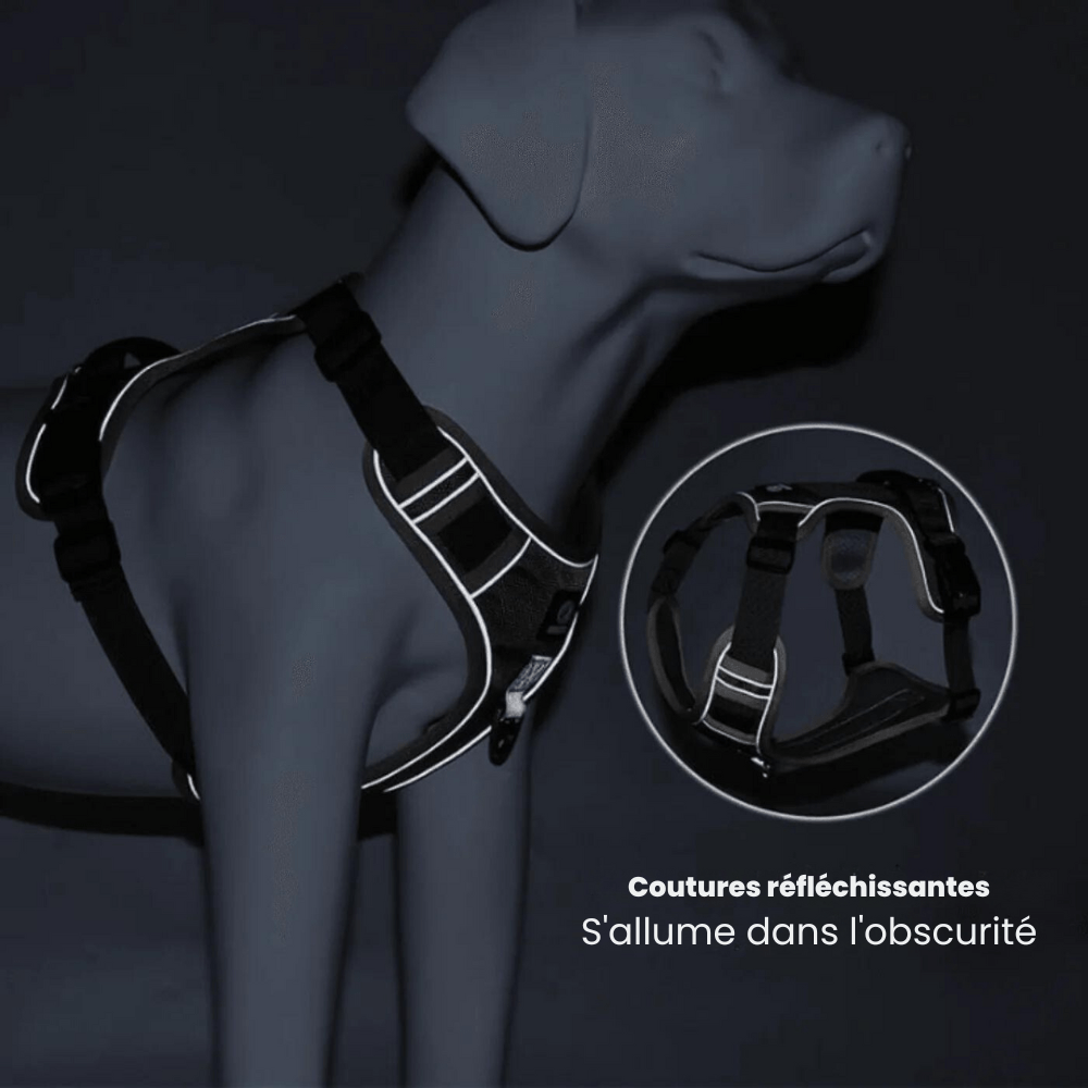 Big dog harness no pull clearance