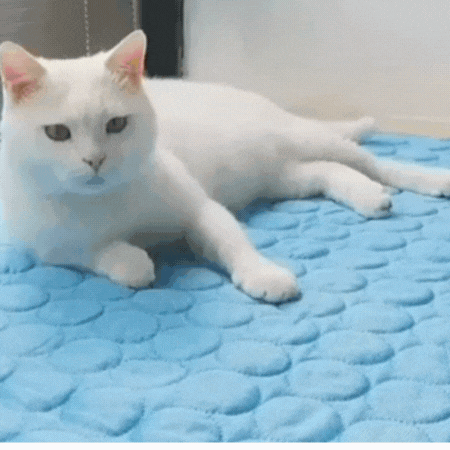 BowLift | Extra-Large Dog Cooling Mat for Summer Comfort