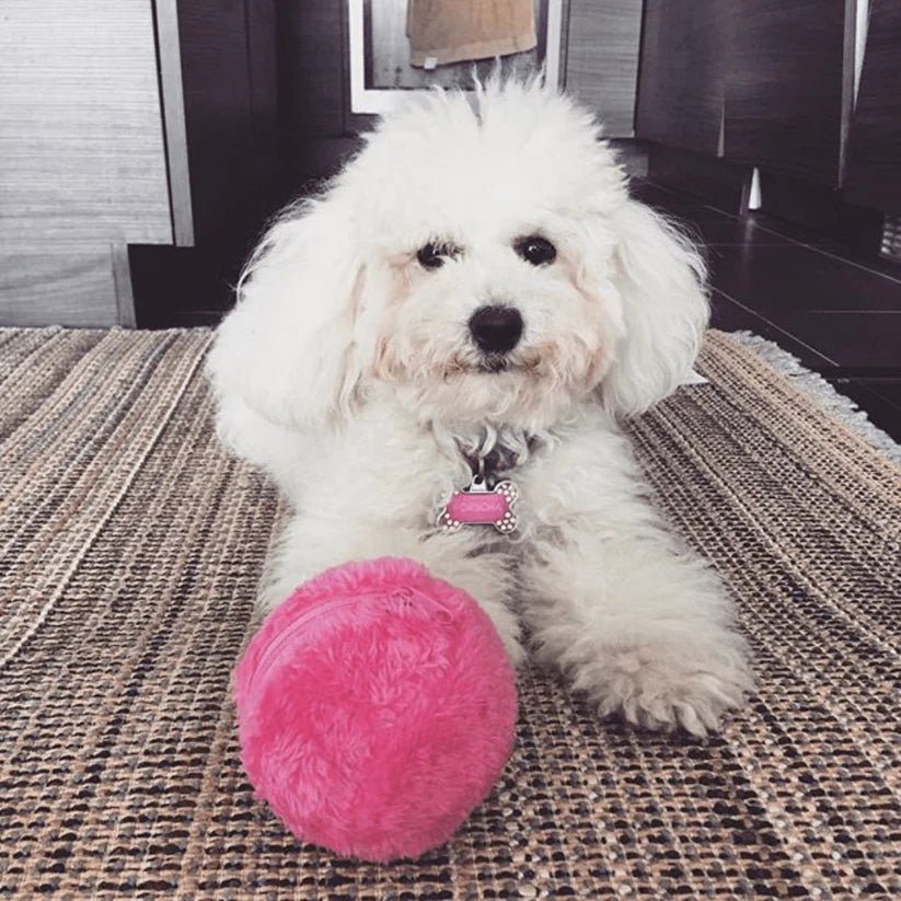 RollPlay • Interactive Self - Rolling Ball - Dog Interactive Rolling Ball - BowLift