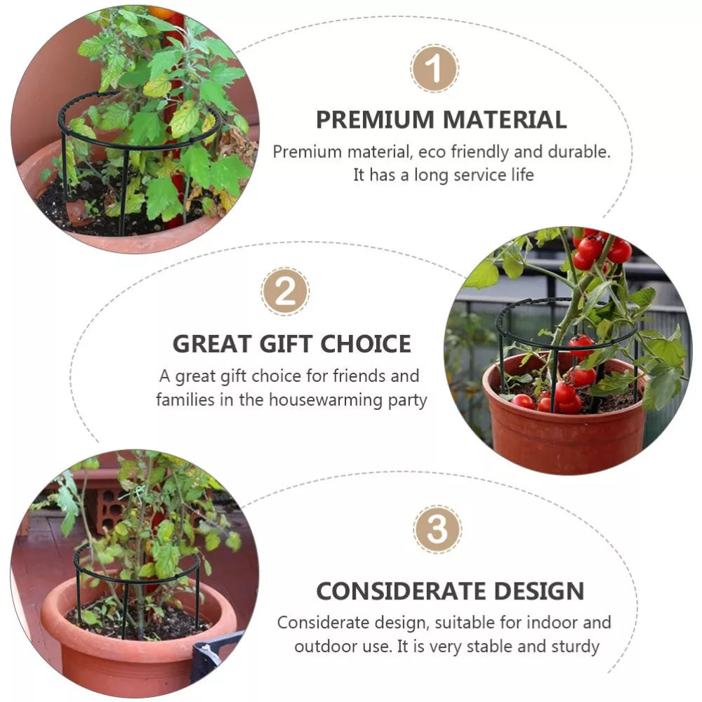 BowLift | Climbing support for plants – Robust holder with cage design for growth and stability