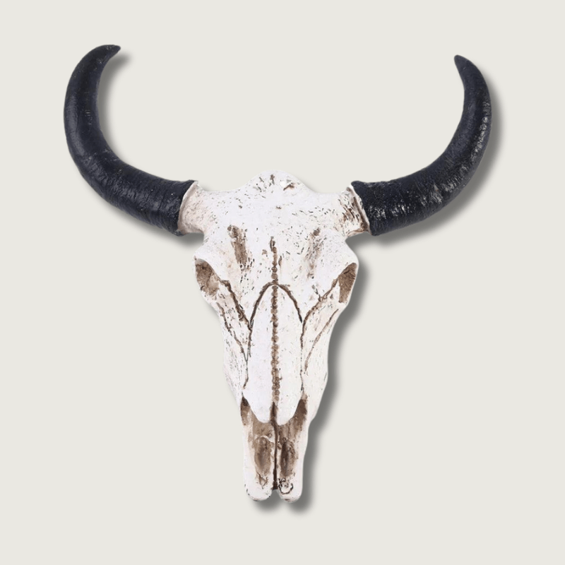BowLift | Decorative Resin Longhorn Skull Wall Art