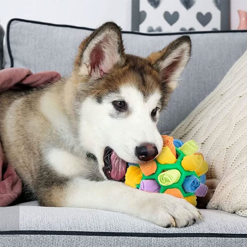 BowLift | Interactive Snuffle Toy for Dogs & Cats for Mental Stimulation