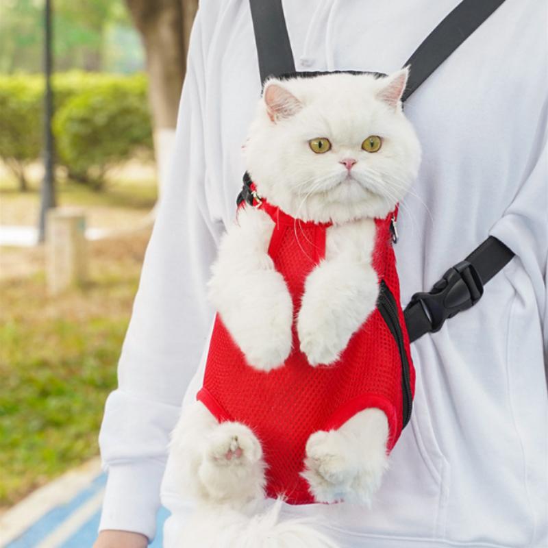 BowLift | FellFreund TravelBuddy – The comfort backpack for on the go