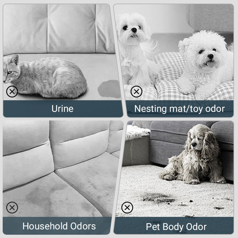 BowLift | Spray for removing pet odor