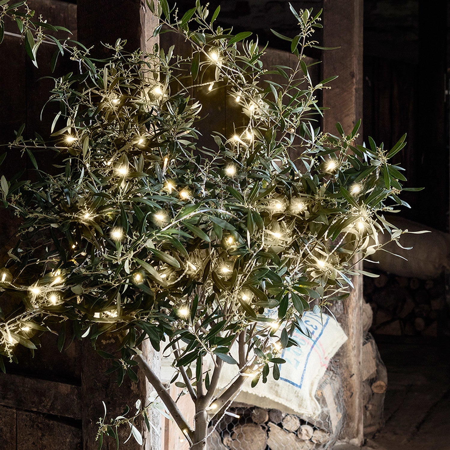 BowLift | Christmas Decorations Warm White Fairy Lights