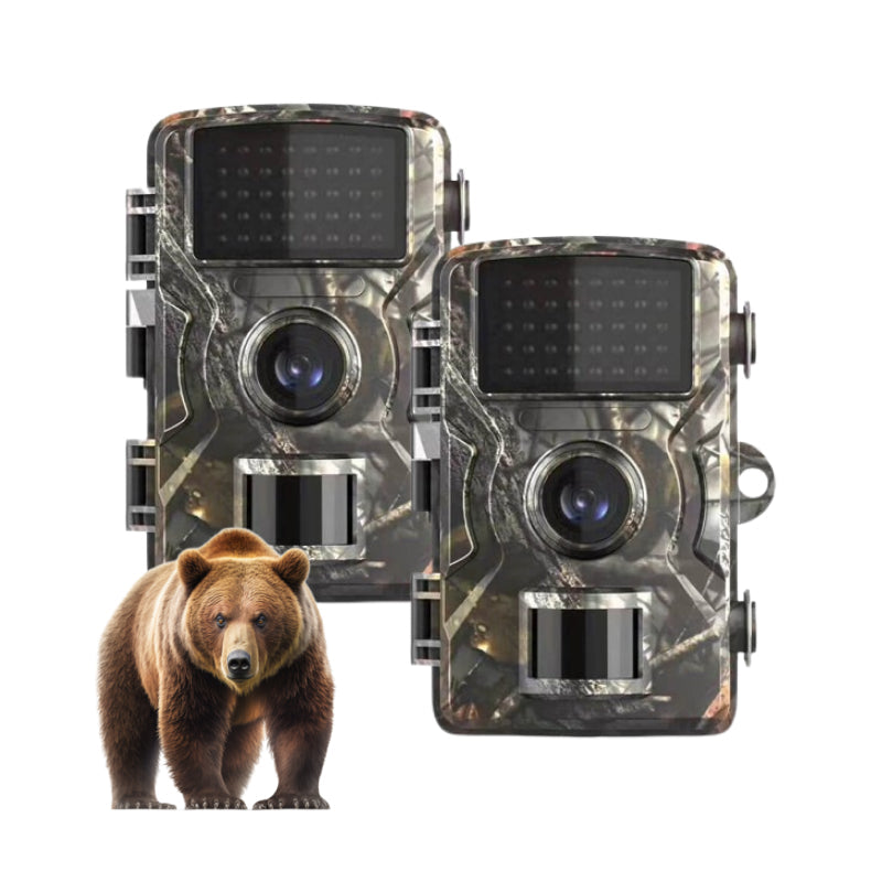 BowLift | 2x Night Vision Outdoor Wildlife Animal Cam Camera